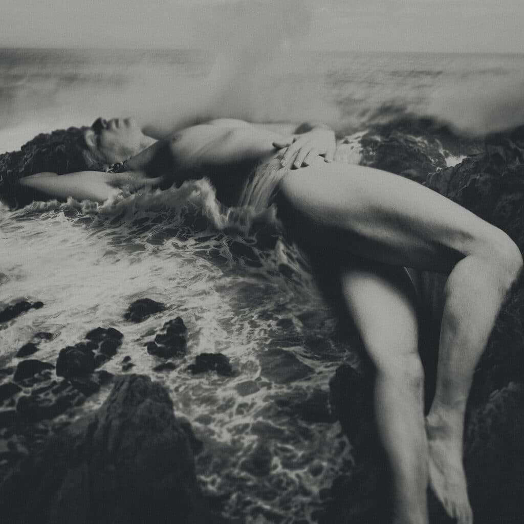 ANIMUS_XVI_ Piotr Trojan