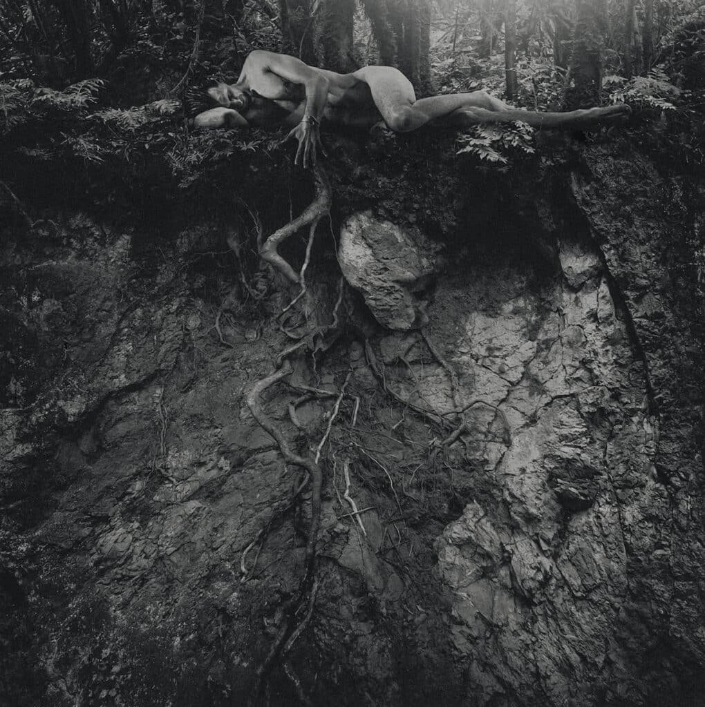 ANIMUS_IV_Marcel Bird Wieteska