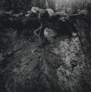 ANIMUS_IV_Marcel Bird Wieteska